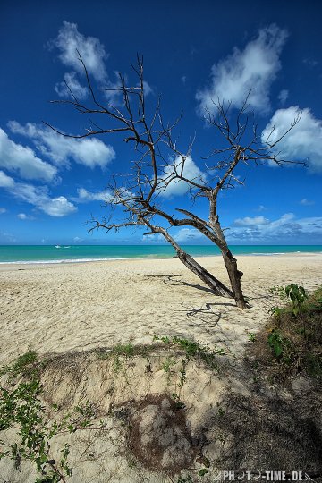 580